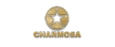 logo customizável